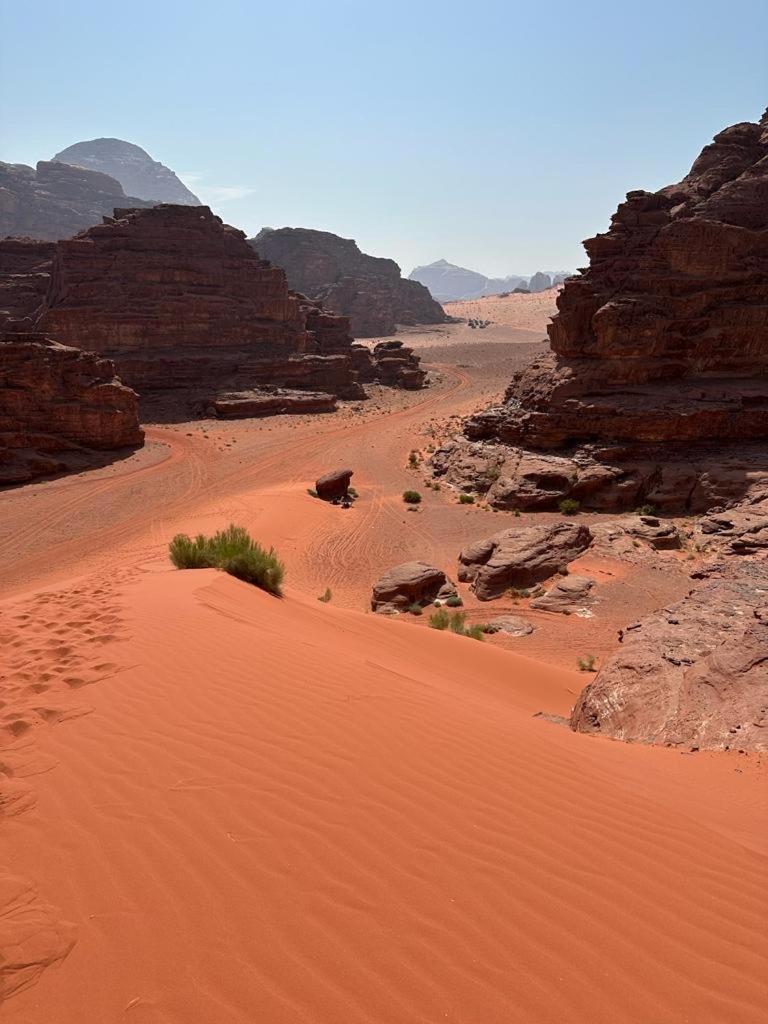 Hotel Bedouin Holidays Camp And Jeep Tours Wadi Rum Esterno foto