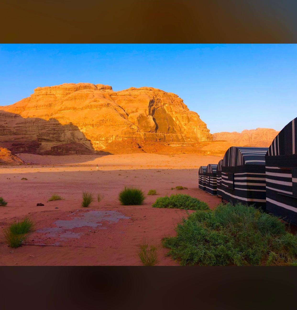 Hotel Bedouin Holidays Camp And Jeep Tours Wadi Rum Esterno foto