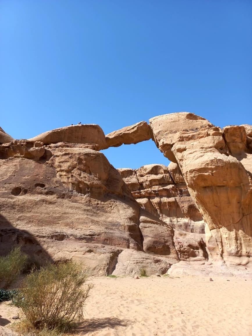 Hotel Bedouin Holidays Camp And Jeep Tours Wadi Rum Esterno foto